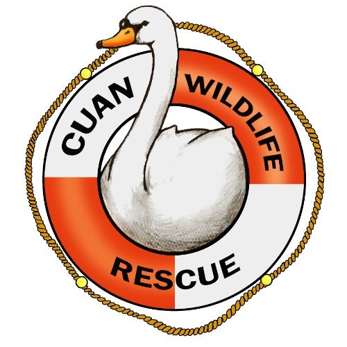 Cuan Wildlife Rescue