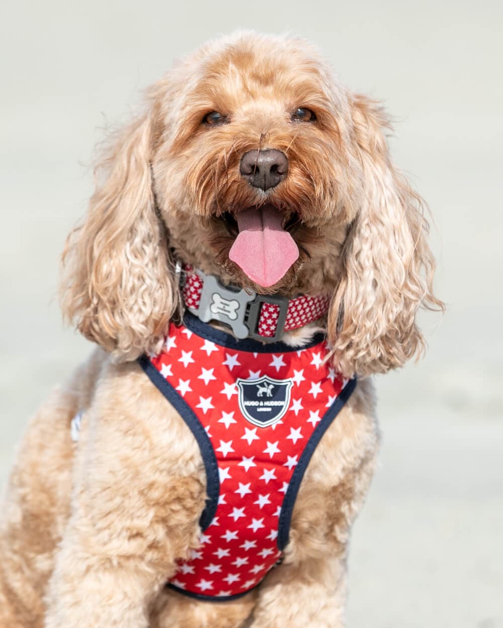 Hugo & Hudson Fabric Harnesses