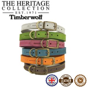 Leather Collars
