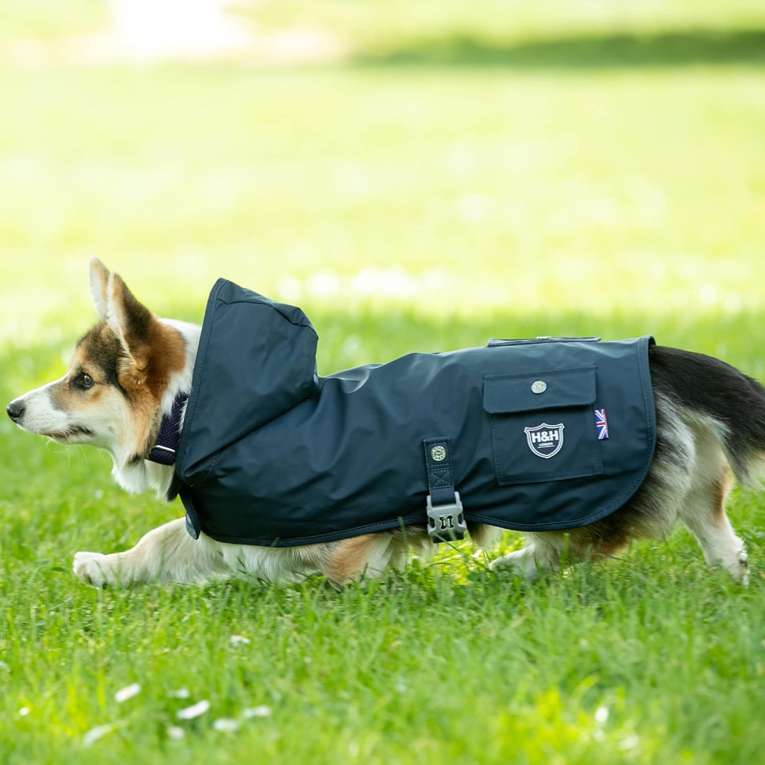 Rain Jacket - Blue