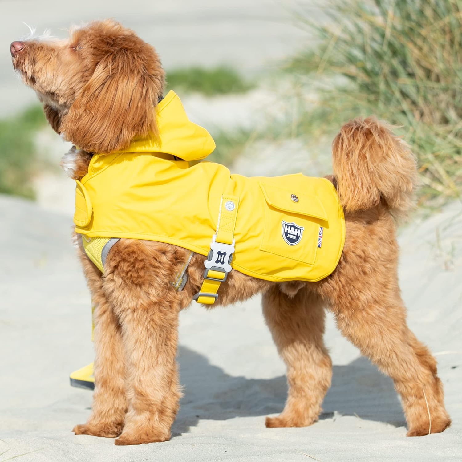 Rain Jacket