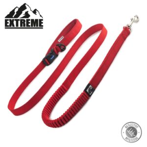 Shock Absorber Dog Lead 1.2m