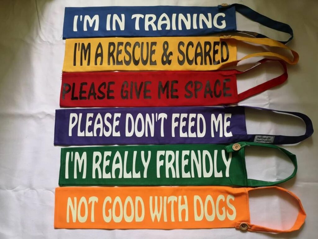 Dog Leash